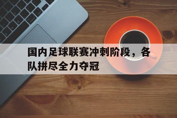 半岛体育app下载-国内足球联赛冲刺阶段,各队拼尽全力夺冠