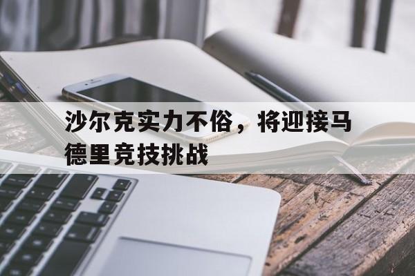 半岛体育-德甲 沙尔克